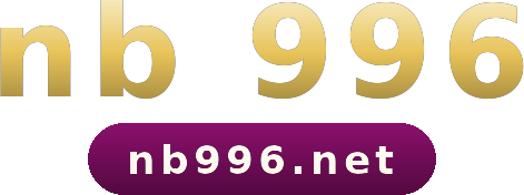 nb 996 logo